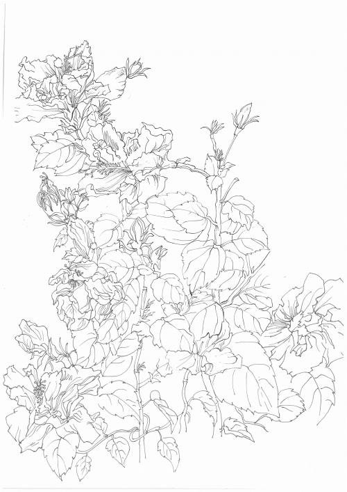 路易斯维尔大学 Art diploma